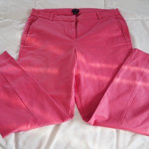J Crew Pants size 12